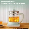 Multifunctional Electric Kettle Health Tea Pot Home Glass Kettle Thermos With Filter