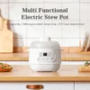 Multifunctional Electrical Stew Pot