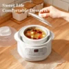Multifunctional Electrical Stew Pot